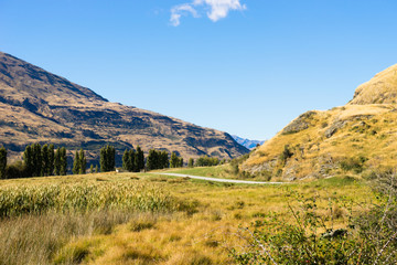 Naklejka premium Picturesque landscape