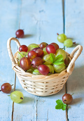 Gooseberry.