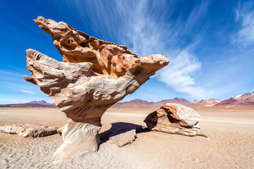 Arbol de Piedra in Bolivia