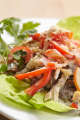 salad with meat