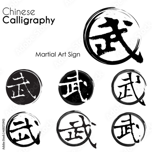 "Various kind of Martial art sign in Chinese Calligraphy" Stock image