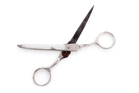 Scissors isolated