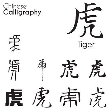 "Tiger" character in different kind of Chinese Calligraphy