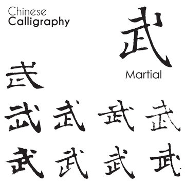 Various kind of Chinese Calligraphy "Martial"