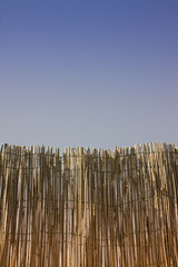 Privacy - conceptual image