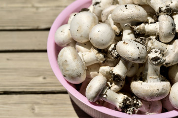 Button mushrooms.