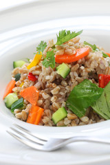 spelt salad, insalata di farro, italian cuisine