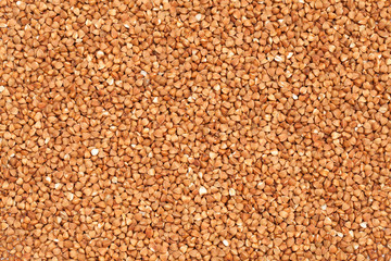 Buckwheat