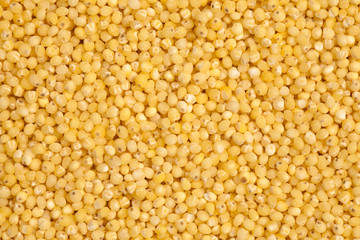Millet
