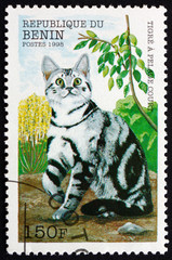 Postage stamp Benin 1998 Striped Shorthair Cat