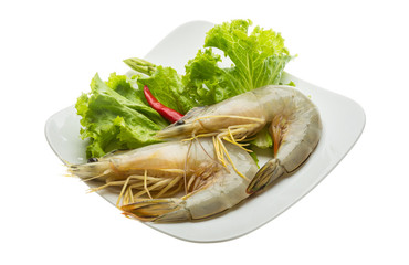 Tiger prawn