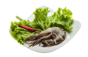 Tiger prawn