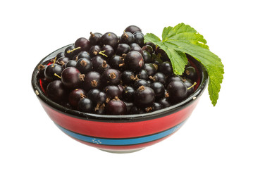 Black currant