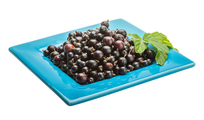 Black currant