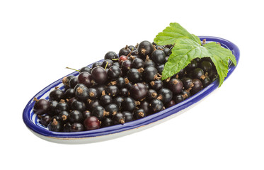 Black currant