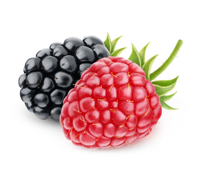 Isolated berries. Raspberry and blackberry over white background