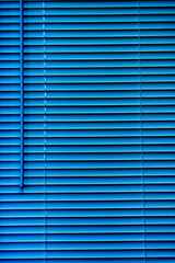 window blinds