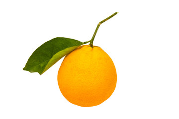 Fresh sweet orange with green leaf