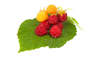 red and yellow raspberries on a leaf isolated on white