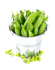 fresh pea pods in metallic bucket