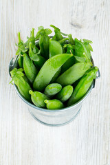 fresh pea pods in metallic bucket