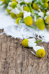 chamomile flowers on wooden table