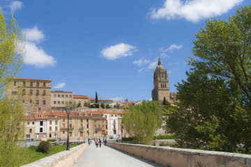 Fototapeta na wymiar Salamanca from Roman bridge