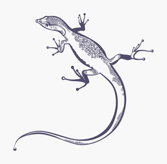 Lizard with a scaly pattern.