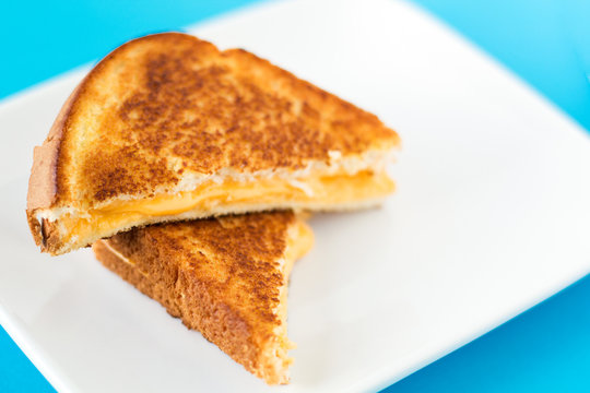 Grilled Cheese on white plate with blue background