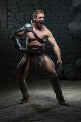 Fototapeta na wymiar Gladiator with two swords