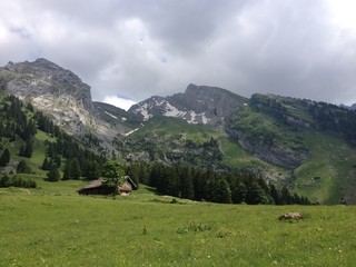 Fototapeta na wymiar Alpine landscape with wood house and mountains