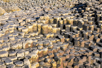 Giant's Causeway, Northern Ireland