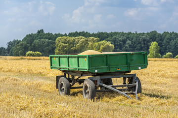 Fototapeta premium Agricultural landscape, trailer with grain.