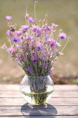 Beautiful wild flowers in vase in field