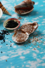 Different sea salt and shells, close up