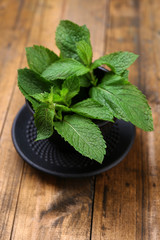 Chinese traditional bowl for tea with mint leaves