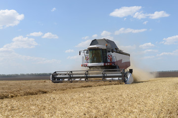 Combine harvesting wheat.