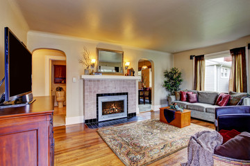 Living room interior with fireplace