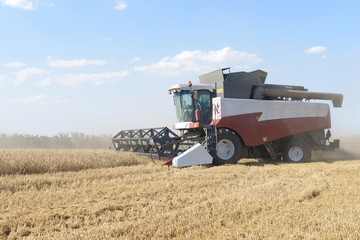 Combine harvesting wheat.