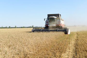 Combine harvesting wheat. - 68094578