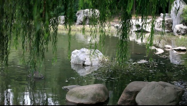 Lotussee in Shanghai