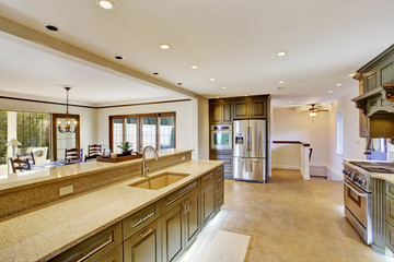 Luxury khaki kitchen interior with spaciuos dining area