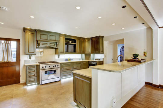 Luxury khaki kitchen interior