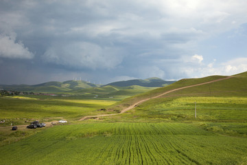 Fototapeta premium grassland