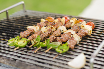 Grilled barbecue meat and vegetable