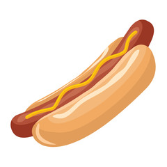 hot dog isolated illustration