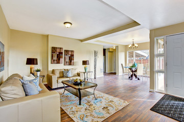 Living room interior