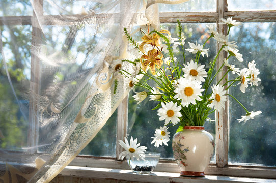 chamomilie flowers bouquet on the window sill