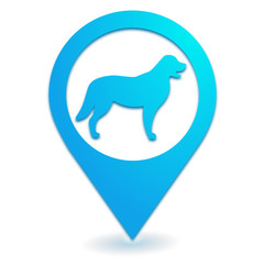 chien sur symbole localisation bleu