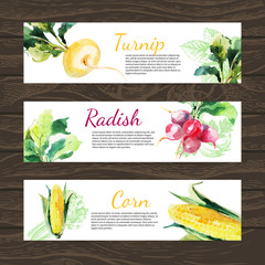 Fototapeta premium Watercolor and sketch vegetables organic food horizontal banner